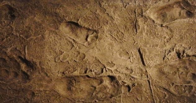 Laetoli Footprints