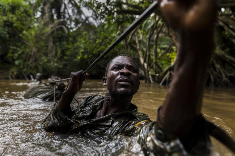 Bộ ảnh Ivory Wars của nhiếp ảnh gia Brent - Nguồn Internet