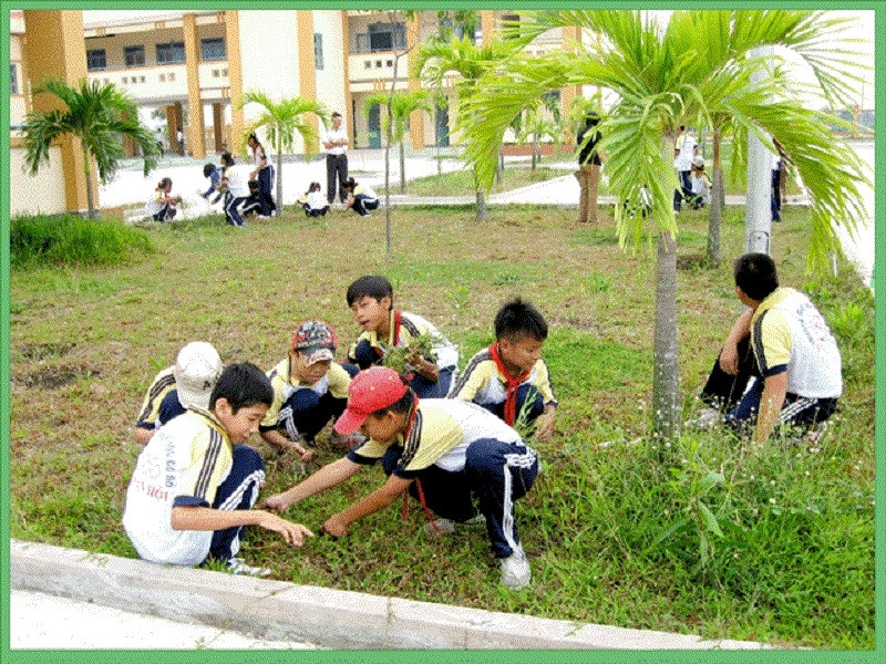 Học sinh tham gia buổi lao động cắt cỏ ở vườn trường.