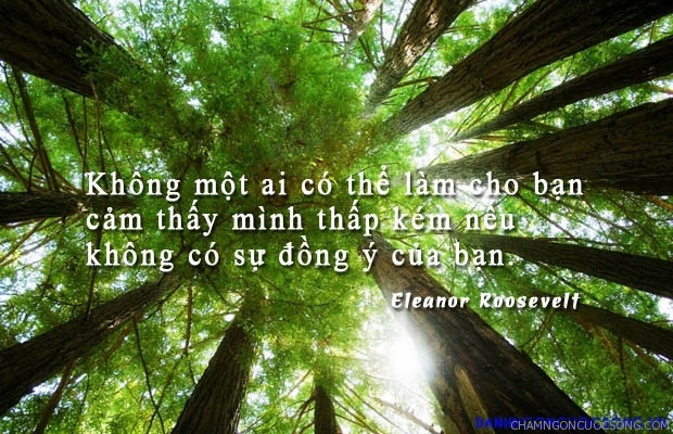 Không ai có thể khiến bạn cảm thấy mình thấp kém nếu không có sự đồng ý của bạn - Eleanor Roosevelt