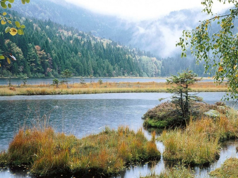 Hồ nước tự nhiên cùng đồi núi bao quanh khu rừng