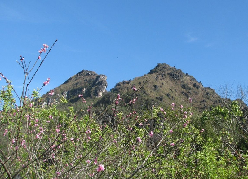 Núi Hàm Rồng vào mùa xuân