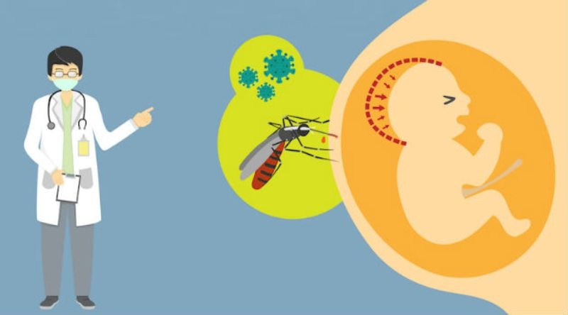 Phụ nữ mang thai nhiễm virus Zika gặp nguy hiểm gì?