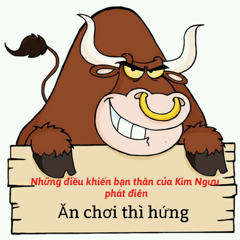 Ăn chơi tùy hứng