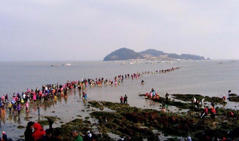 Vùng biển tự tách đôi tại Hàn Quốc