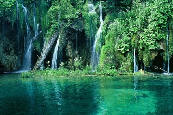 Vườn quốc gia Cúc Phương - khu bảo tồn thiên nhiên đầu tiên của Việt Nam
