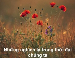 nghich-ly-cuoc-song