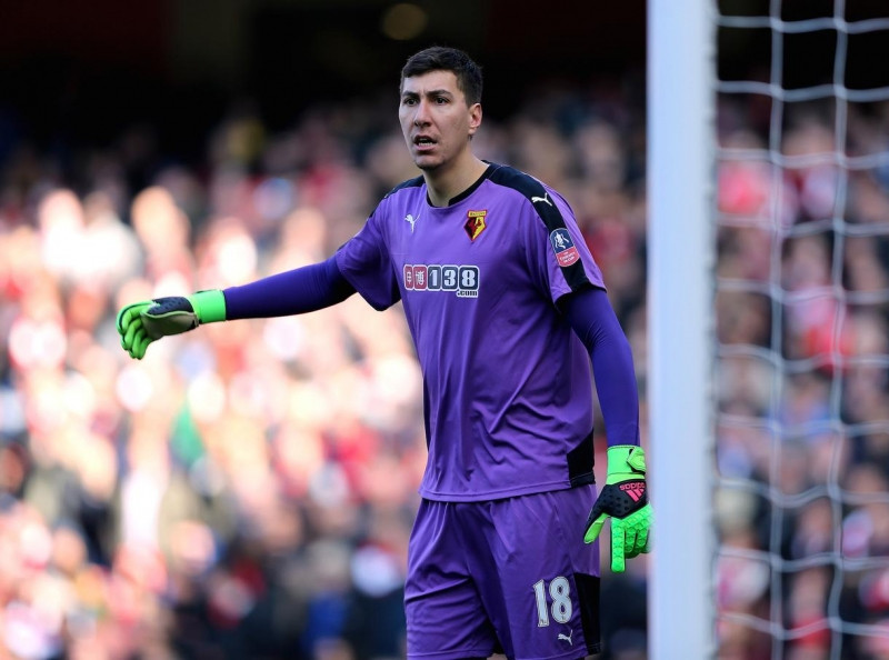 Costel Pantilimon đang bắt cho Watford.