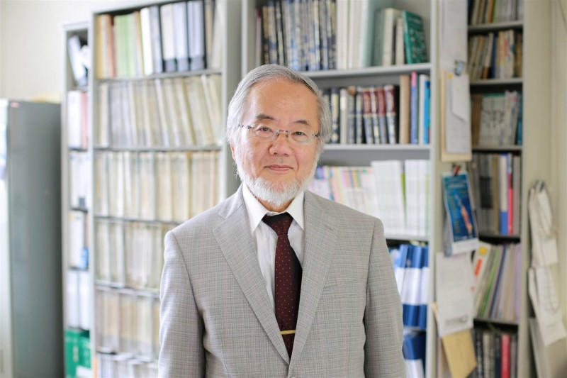 Nhà khoa học người Nhật Yoshinori Ohsumi giành giải Nobel y học