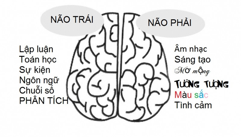 Tận dụng toàn bộ não, tăng khả năng tập trung