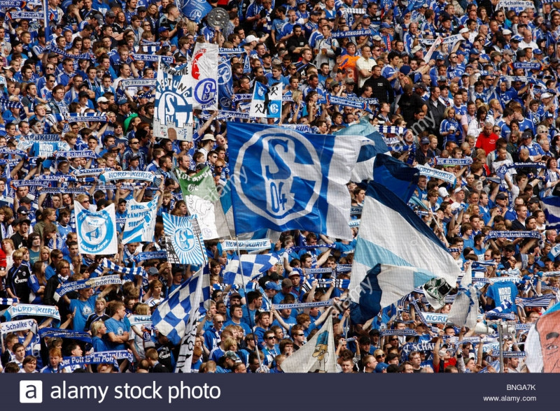 Các cổ động viên Schalke rất sôi động