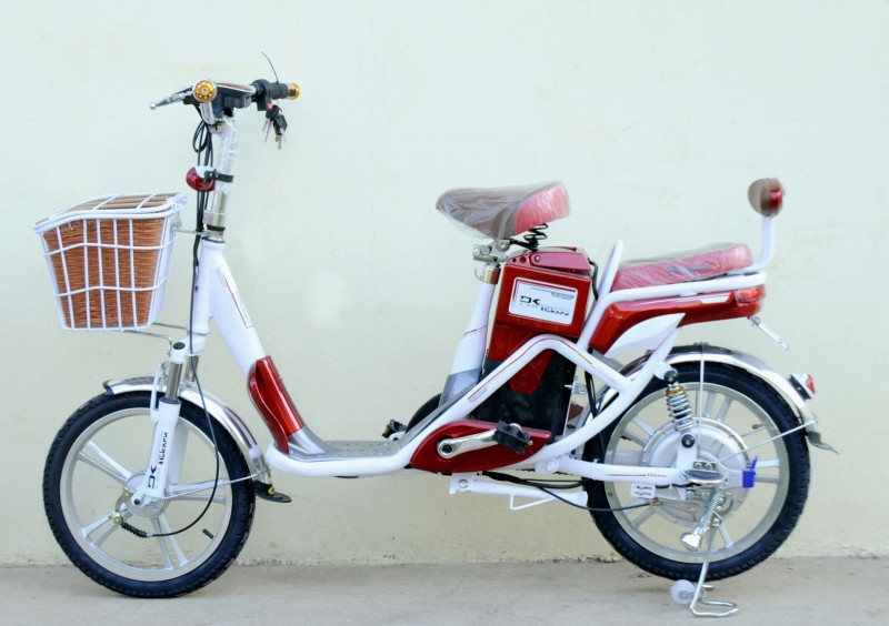 Xe đạp điện DK Việt Nhật