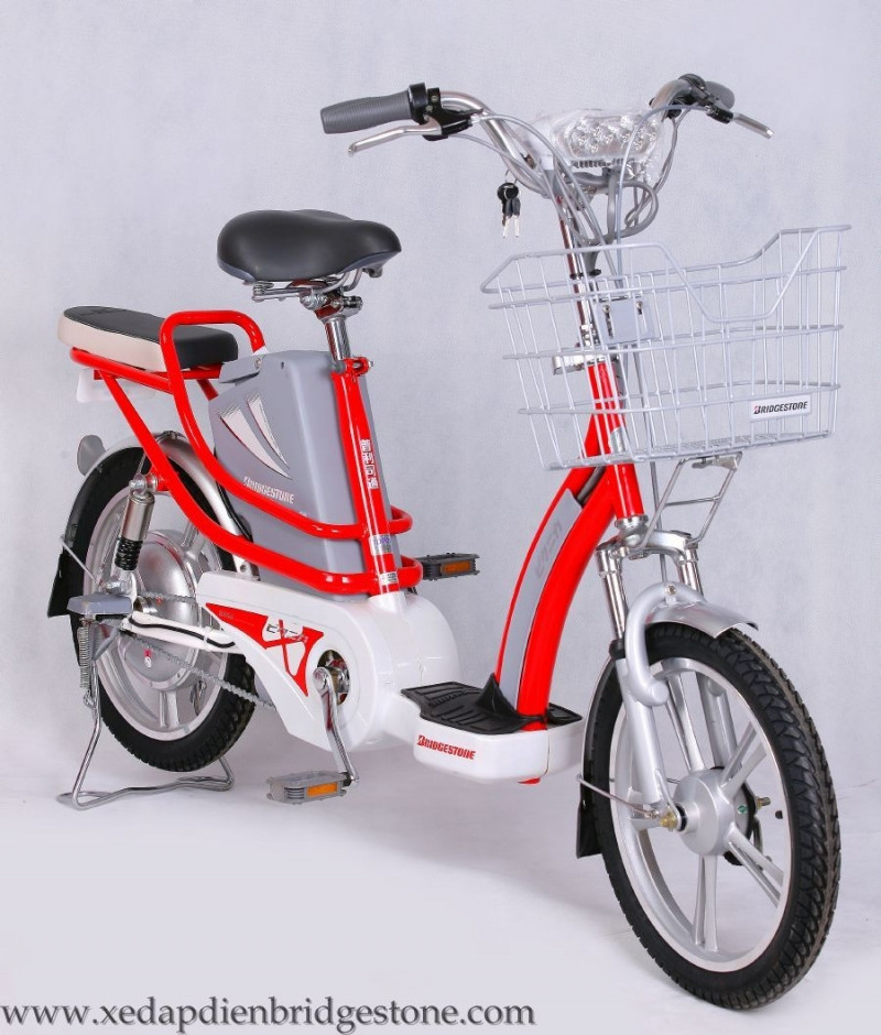 Xe Đạp Điện Yến Oanh nhà nhập khẩu, phân phối xe đạp điện chính hãng