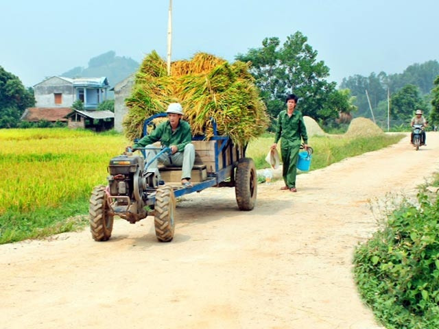 Trung tâm Khuyến nông Quốc gia: http://www.khuyennongvn.gov.vn