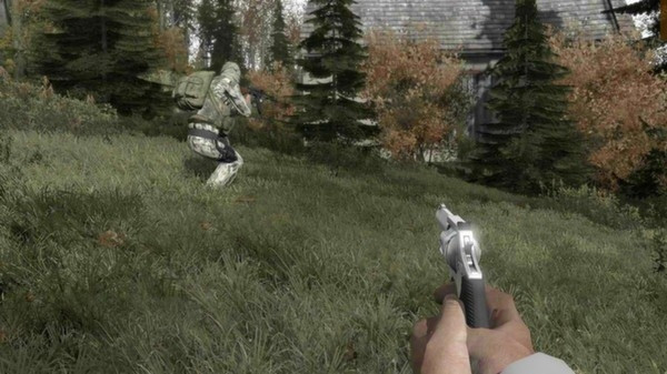 DayZ - mod Arma 2