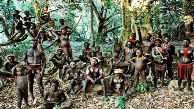 Hình ảnh bộ tộc Toromona