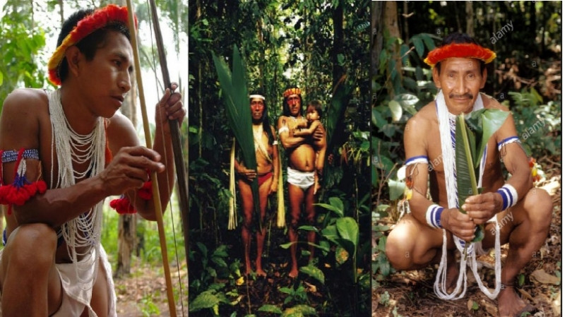 Hình ảnh bộ tộc Piaroa