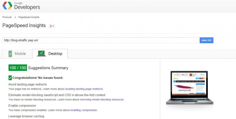Không chỉ là tốc độ website, Google Page Speed còn có những phân tích đánh giá khác.