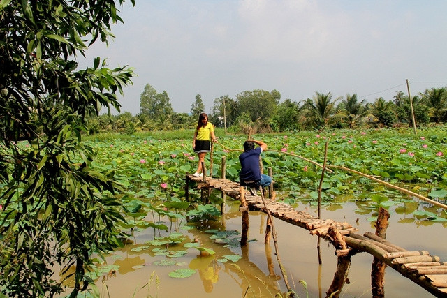 Đầm sen Rừng Hoang Bảy Mẫu