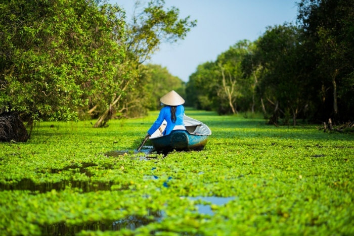 Rừng tràm Trà Sư đẹp quyến rũ