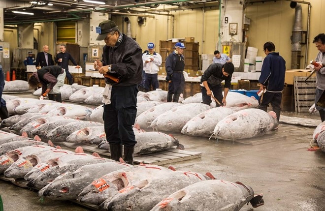 Chợ cá Tsukiji (Ảnh: Irinakalashnikova)
