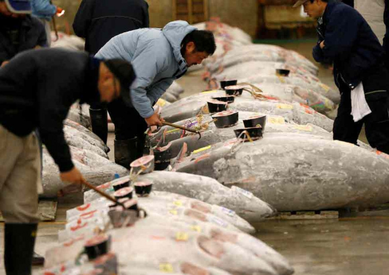 Chợ cá Tsukiji (Nguồn: Vietnamnet)