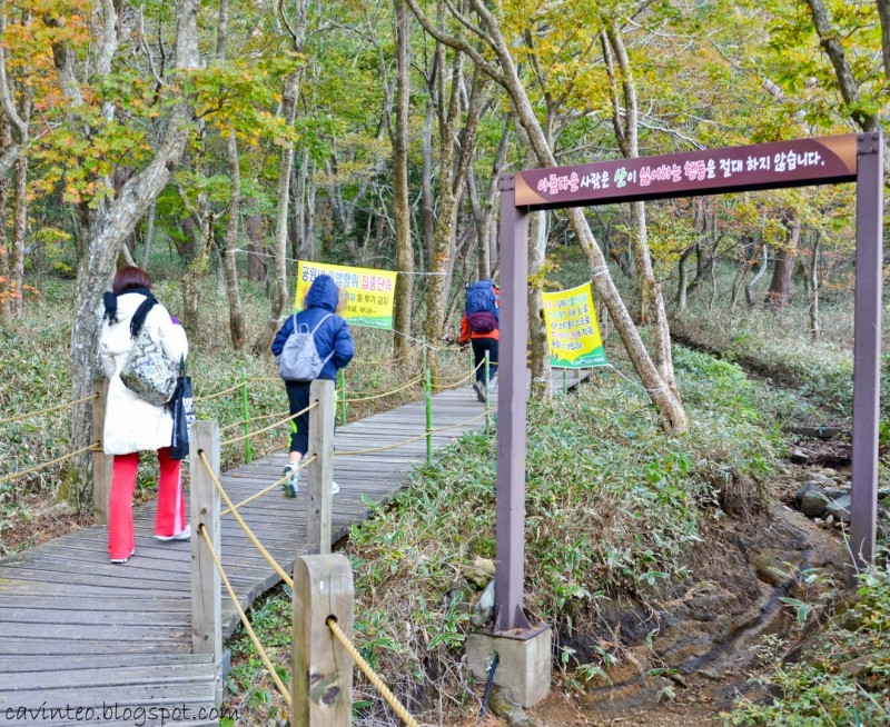 Đi bộ đường dài là một trong những hoạt động phổ biến nhất ở Hàn Quốc