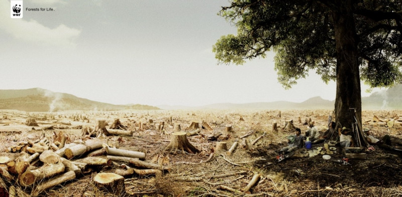 Sa mạc khô cằn trong poster tuyên truyền của WWF