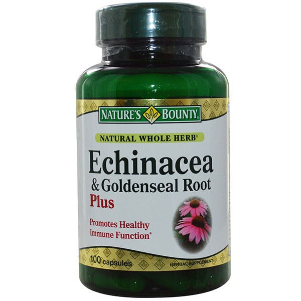 Chiết xuất từ rễ Echinacea có thể được dùng chữa các bệnh sổ mũi, ốm, cảm hiệu quả.
