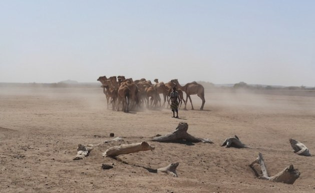 Số người thiệt mạng/năm vì biến đổi khí hậu ở Ethiopia là 100.000 người