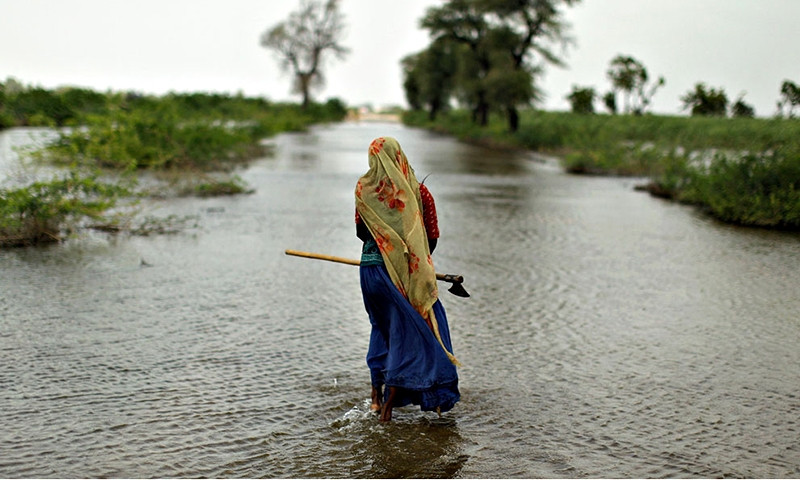 Số người thiệt mạng/năm do biến đổi khí hậu ở Pakistan là 150.000 người