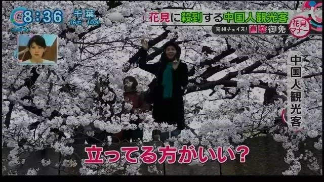 Hành vi của nữ du khách được đưa tin trên truyền hình Nhật Bản - Nguồn: Sưu tầm