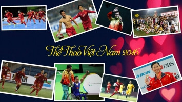 su-kien-the-thao-viet-nam-tieu-bieu-nhat-nam-2016