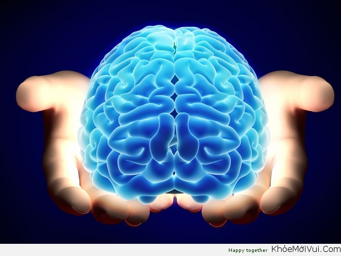 Não của bạn dù thông minh đến đâu cũng chỉ rộng bằng 1 chiếc gối.