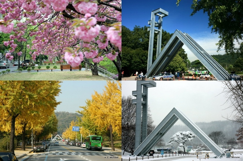 Khung cảnh bốn mùa tuyệt đẹp tại Đại học Quốc gia Seoul.