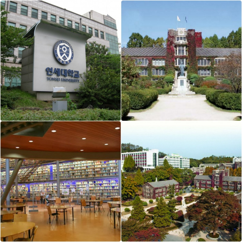 Đại học Yonsei.