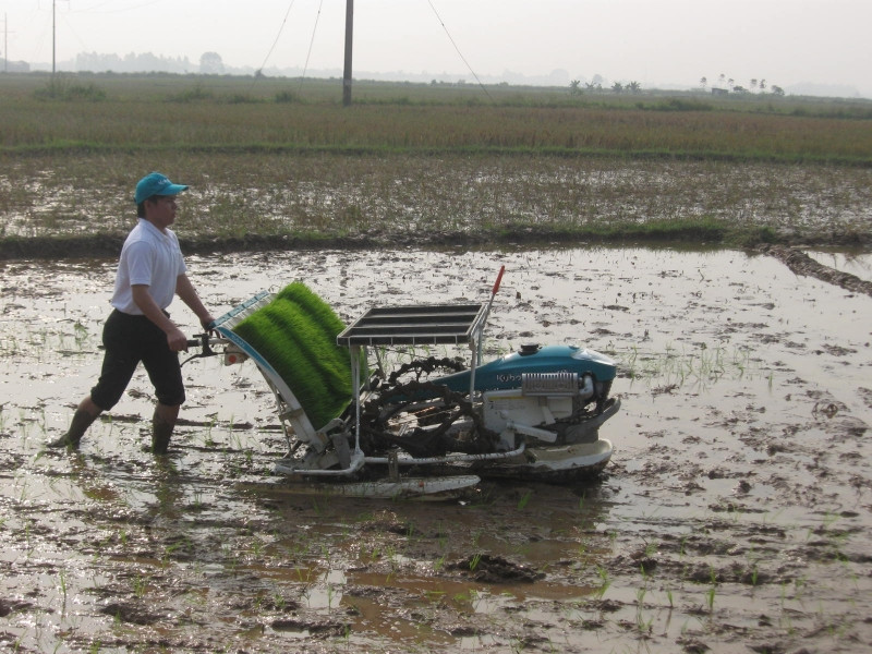 Xã Tân Hưng tích cực đổi mới sản xuất nông nghiệp
