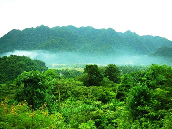 Khu bảo tồn thiên nhiên Pù Hu