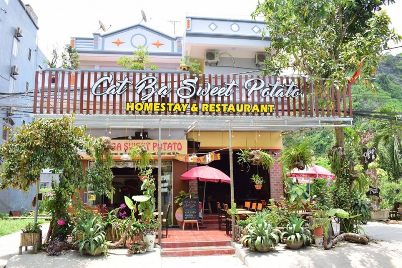 Cat Ba Sweet Potato Homestay & Restaurant