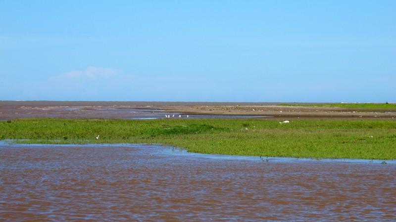 Khu dự trữ sinh quyển Đồng bằng sông Hồng có nhiều bãi bồi phù sa. Đây là nơi cư trú lí tưởng của các loài chim nước