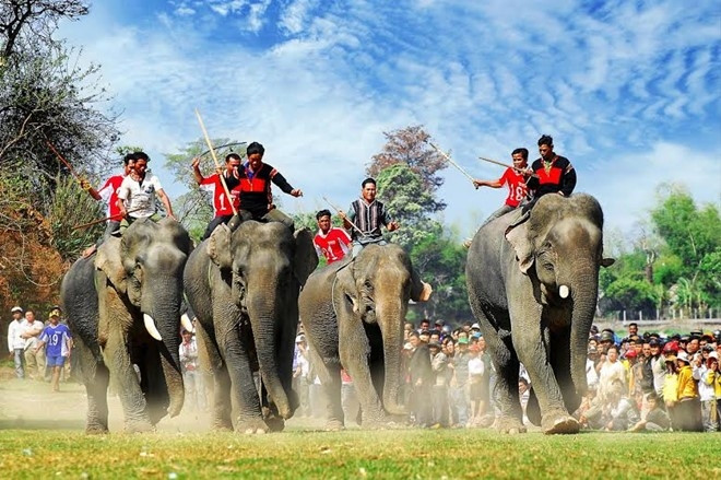 Lễ hội đua voi