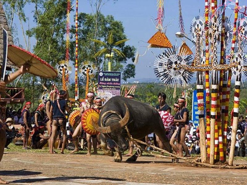 Lễ hội đâm trâu