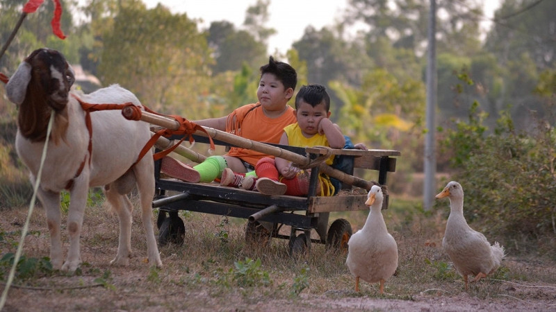 Bảo mẫu siêu quậy 2