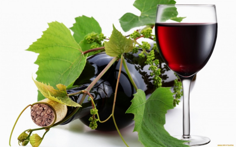 Italia được biết đến là một quốc gia sản xuất rượu vang đứng hàng đầu thế giới