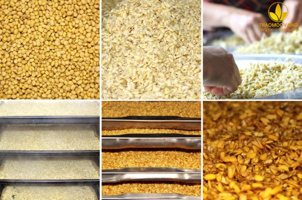 Quy trình sản xuất bột mầm đậu nành Fami của Thảo Mộc Vàng