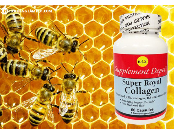 Sữa ong chúa Super Royal Collagen 63.2 với nhiều loại vitamin và khoáng chất giúp cơ thể khỏe mạnh, chống mệt mỏi, tăng cường sinh lực không những vậy còn giúp chống lại quá trình lão hóa sớm, mang lại làn da mịn màng cho chị em phụ nữ.