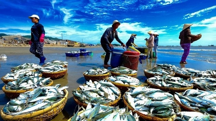 Đánh bắt thủy sản tại Việt Nam