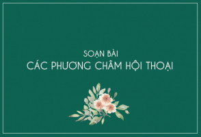 bai-soan-cac-phuong-cham-hoi-thoai-hay-nhat
