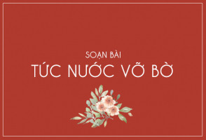 bai-soan-tuc-nuoc-vo-bo-cua-ngo-tat-to-hay-nhat