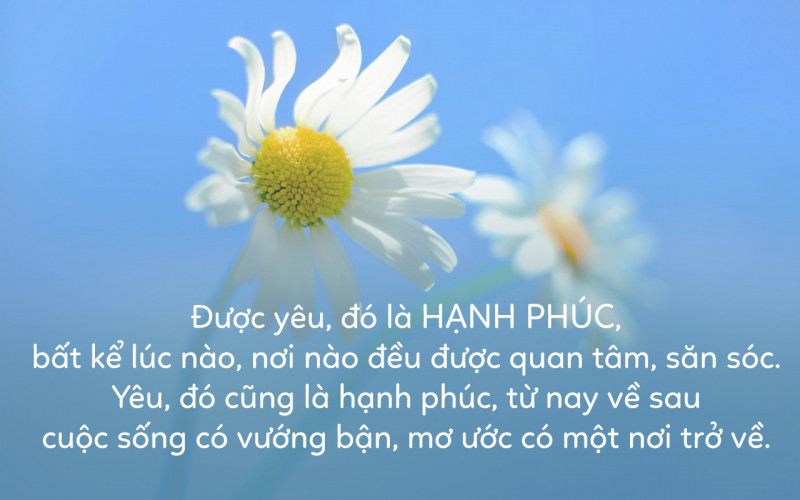 Ảnh minh hoạ (nguồn internet)